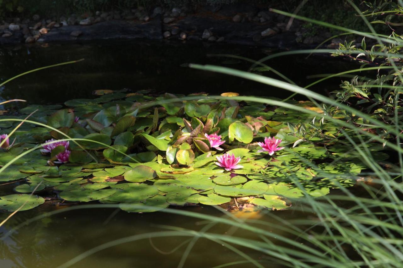 Nagymajor Birding Lodge Tiszacsege Buitenkant foto